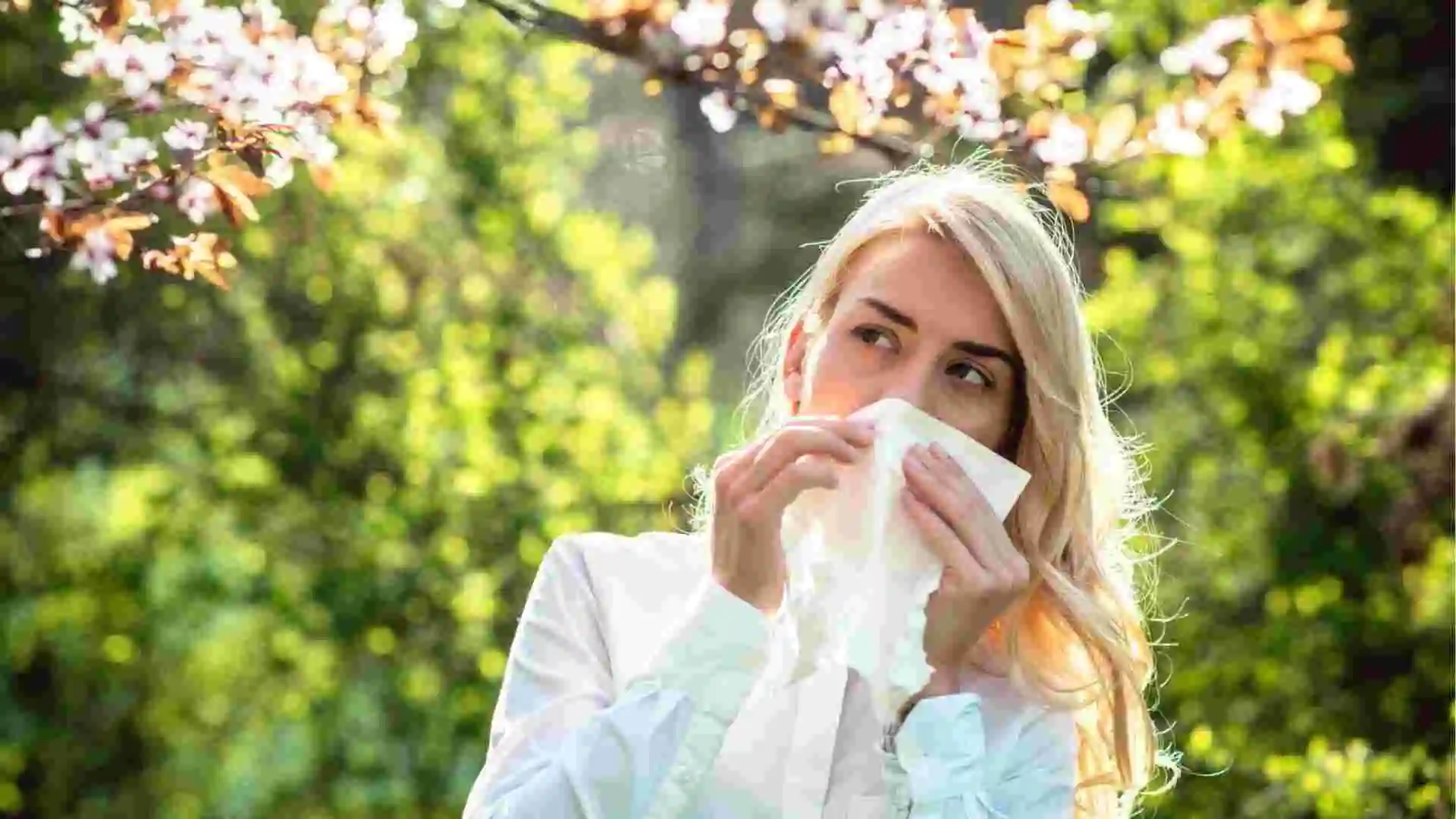 7 Remèdes Naturels Efficaces Contre les Allergies aux Pollens